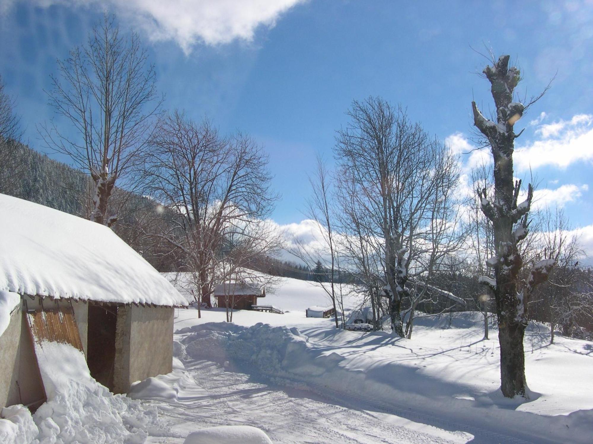 Hotel Auberge des Montauds à Villard-de-Lans Extérieur photo